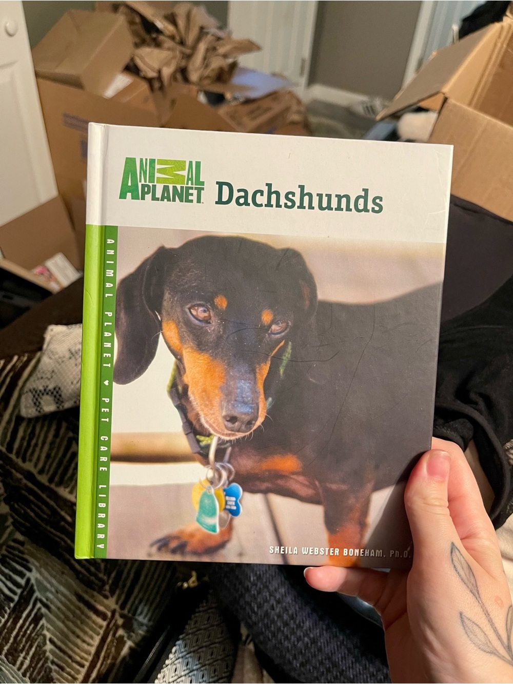 Dachshunds Book